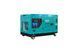 Дизельный генератор INVO DS-10000EA в кожухе, 9/10кВт, 230В